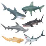 FLORMOON Realistic Shark Figurines - 6pcs Undersea Creature Action Models - Educational Toy & Cake Topper for Kids - Ideal Christmas Birthday Gift