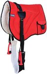 Professional Equine Horse Trail Fleece Padded Bareback Pad w/Bags Red 39193RD, Turquoise/Black, Bareback Pad: 25inch L x 36inch W Cinch: 31inch L x 3inch W