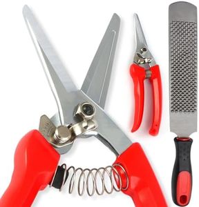 Nosterpop goat hoof trimmers with Mini Hoof rasp File (8-inch) - Nail Clippers for goat Sheep, Alpaca, Lamb, Pig -hoof rasp file - goat nippers - hoof trimmers - Hoof rasp file, Red, Black