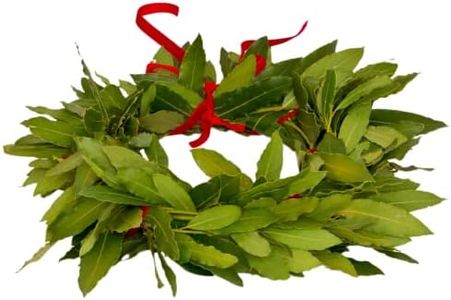 Skèmata, Corona d'Alloro per Laurea | Prodotto di Alta Qualità realizzato con freschissime Foglie d'Alloro | Disponibile in varie Misure e Colorazioni, 100% Made in Italy