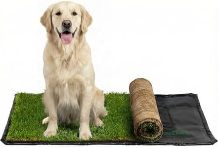 DoggieLawn
