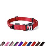 Outdoor Dog Collar