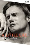 A Little Life: The Million-Copy Bestseller