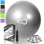 Exercise Ball -Professional Grade Exercise Equipment Anti Burst Tested with Hand Pump- Supports 2200lbs- Includes Workout Guide Access-(Silver, 65 cm)