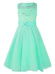 iEFiEL Kids Flower Girls' Shiny Sequins Floral Lace Chiffon Flower Dress Wedding Pageant Birthday Party Prom Ball Gowns Mint Green 16 Years