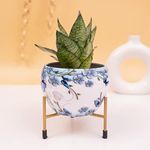 Kyari Dreamy White & Blue Floral Metal Pot with Stand, Rust-Free Powder Coating, Indoor & Outdoor Use, Home & Office Decor, Plants Not Included, Pot Size: 10 * 13cm, Stand Height: 7.5cm