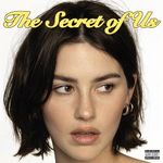 The Secret Of Us (Vinyl)