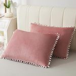 LIFEREVO 2 Pack Pom-poms Cozy Velvet Bed Pillowcases, Fuzzy Microfiber Pillow Shams with Tassels, Cute Zippered Pillow Cases Protectors for Bedroom Living Room Couch Sofa Farmhouse(Old Pink, King)