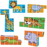 PicassoTiles Magnetic Expression Puzzle Toy Building Block Mix & Match Cubes Cubes Magnet Sensory Pre-School Toys Gifts Educational STEM Learning Kit for Kid, Baby Toddler Age 3 and Up 9 Piece PTC09