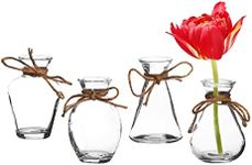 Royal Imports Clear Glass Bottle Bud Vase, Small Single Stem Flower Centerpiece, Mini Decorative Floral Jars, Rustic Farmhouse Home Decor, Kitchen, Fireplace, Shelf, Narrow One Rose Holder, Set of 4