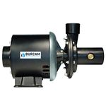 BURCAM 300315WH 1/3 HP Manual Laundry Tub Pump, Black