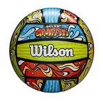 Wilson Graffiti Volleyball