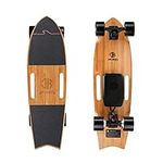 Jking Electric Skateboard Longboard