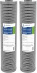 Pentair Pentek NCP-20BB Big Blue Carbon Water Filter, 20-Inch, Whole House Non-Cellulose Carbon Impregnated Pleated Filter Cartridge, 20" x 4.5", 10 Micron, Pack of 2