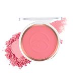 Powder Blusher