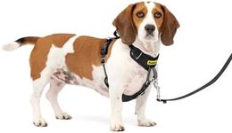 PetSafe Easy Walk Comfort No-Pull Dog Harness Full-Body Padding - Better Walks on The First Use - 5 Points of Adjustment Small/Medium, Black