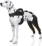 Furtent Dog Knee Brace for Torn Acl