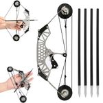 HNZMDY Compound Bow and Arrow Set for Adult Teens Youth for Outdoor Indoor Shooting Target Practice Small Sports Games (Type 4 (4 arrows))