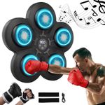 Boxing Gym Equipment