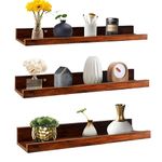 Dime Store Floating Shelf Wall Mount Wall Shelves Storage Shelf for Living Room Bedroom for Home Decor Items (Standard, Brown)