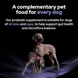 PRO PLAN FortiFlora Dog Probiotic Supplement, 30 x 1g Sachets