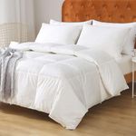 Oaken-Cat Goose Feather Down Comforter Queen - 100% Organic Cotton, Medium Warm All Seasons Duvet Insert (King, Ivory White)