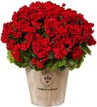 Nearly Natural Geranium Silk Flowering Plant in Farmhouse Planter, Red