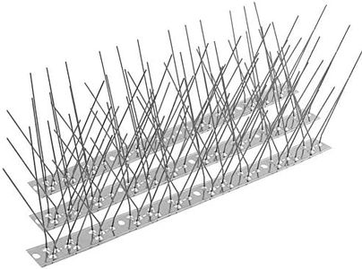 Bird Spike