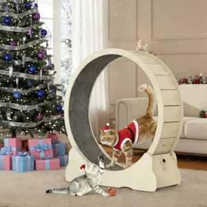 Keyzone Indoor Cat Wheel - Treadmill with Carpet Track for Exercises and Running, Height 100.7 cm