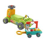 Fisher-Price HRG12 Toy, Multi-Color,Small