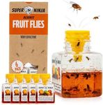 Super Ninja Fruit Fly Traps for Ind