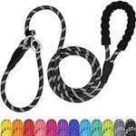 TagME Slip Leads for Dogs, 6 FT Hea