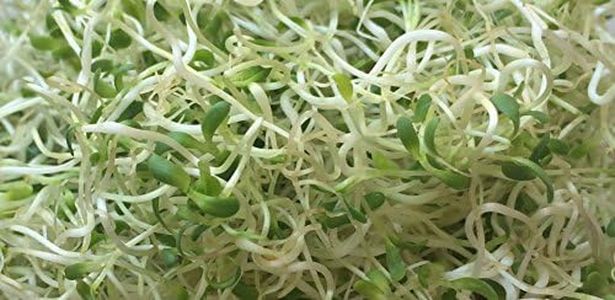 Microgreen