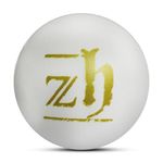 Zhoosh Cricket Plastic Training Balls (White) (4)