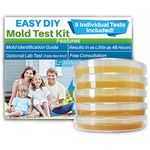 Air Mold Test Kit - Evviva Sciences - 5 Simple Mold Detection Tests - Optional Lab Analysis - Test HVAC System, Room Air, & Home Surfaces - Includes Detailed Mold ID Guide