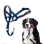 Halti Headcollar - Stop Your Dog Pulling on the Leash. Adjustable, Reflective and Lightweight, with Padded Nose Band. Dog Training Anti-Pull Collar for Large Dogs (Size 4, Cobalt Blue)