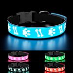 TOPOTO Light Up Dog Collar Bright LED/Rechargeable/Adjustable/15 Lighting Modes Dog Collar for Night Walking Nighttime Safety Glowing Collar for Small Dogs Blue