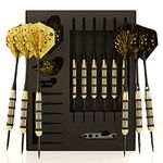 CC-Exquisite Professional Darts Set - 6 Steel Tip Darts Complete with 12 Dart Flights and 12 Aluminum Shafts Customizable Configuration, 12 O-Rings, Tool, Sharpener and Case for Man Cave & Game Room