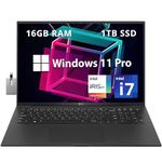 LG gram 17" WQXGA Business Laptop, 13th Gen Intel i7-1360P, 16GB LPDDR4X RAM, 1TB PCIe SSD, Intel Iris Xe Graphics, Backlit Keyboard, Wi-Fi 6E, Windows 11 Pro, Black, 32GB Hotface USB Card