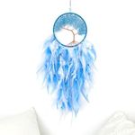 Dream Catchers, Sky Blue Dream Catc