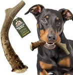 Heartland Deer Antlers for Dogs - Grade A, Naturally Shed Antlers | Dog Bones for Aggressive Chewers & Teething Puppies | Chew Toy for All Breeds | USA Made & Veteran Owned (X-Large: 8-10", 1-Pack)