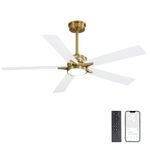 WINGBO 52 Inch Ceiling Fan with Lights, Brass and White