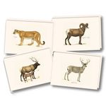 Western Mammal Assortment Boxed Note Cards-- Set of 8