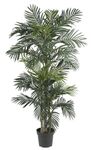 Nearly Natural 6.5ft. Golden Cane Palm Artificial Tree