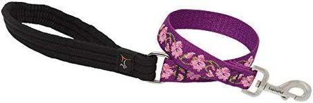 LupinePet Originals 1" Rose Garden 2-Foot Traffic Lead/Leash for Medium and Larger Dogs