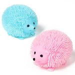 Fidget Jiggly Ball Hedgehog - Squishy Stress Ball Soft Fidget Ball 2pcs with Colorful Lights, Stress Anxiety Relief Squeeze Balls Fidget Toy Sensory Toy for Kids Adult, ADHD, OCD,Autism