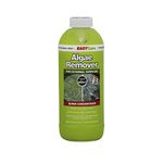 Algae Remover 1 Litre Concentrate Professional Grade