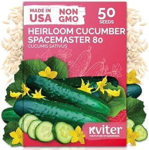 50 Spacemaster 80 Cucumber Heirloom Vegetable Seeds, Cucumis Sativus