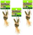 (3 Pack) Ware Manufacturing Natural Fun-E-Bunny Small Pet Chew Toys
