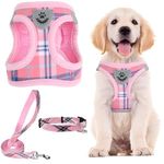 PUPTECK Dog Harness Small Dog with Collar and Lead Set Step-in No Pull Puppy Cat Harnesses for Daily Walking, Pink S